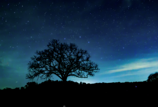 2026-01-05 - 18_33_19 - Lutz Park - Livingston County, MI